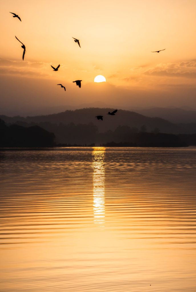 Surah Mulk : The Protection You Need 4 rohan gupta Ch 66 s3ZJ8 unsplash scaled large