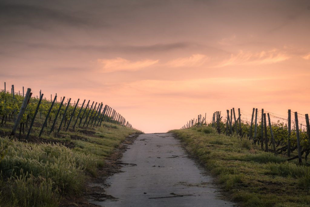 My Path to Islam – Huda