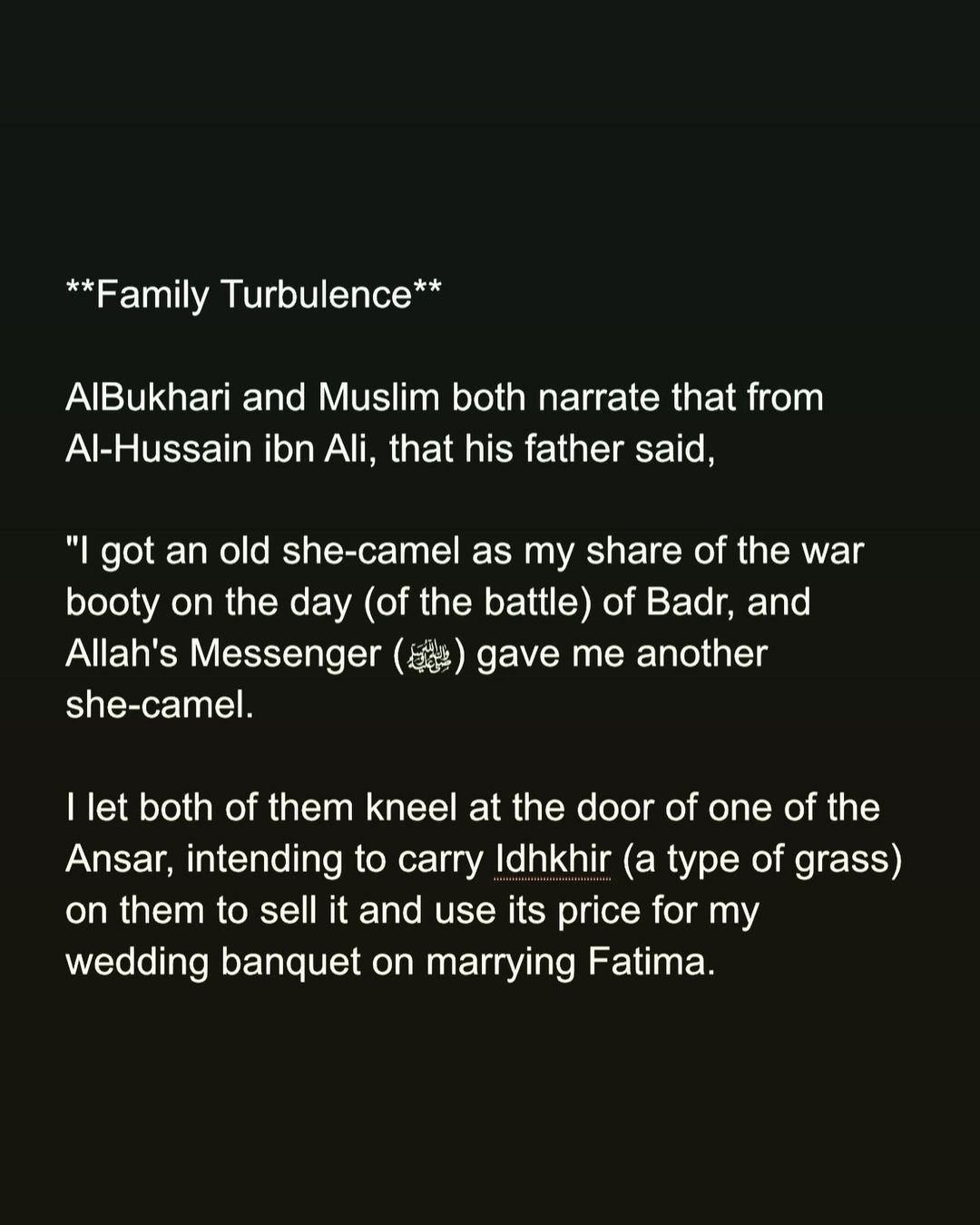 ammar alshukry 163592184032552922522713718401178