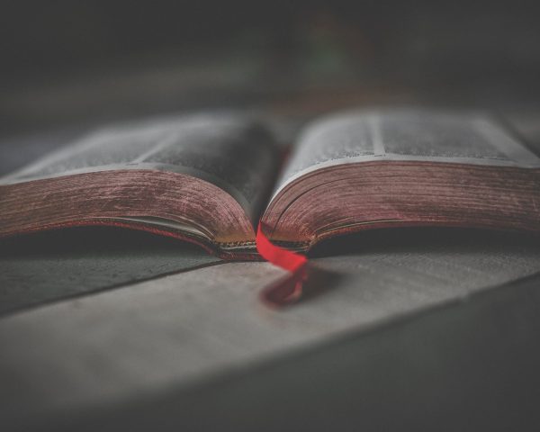 close up photo of an opened religious book